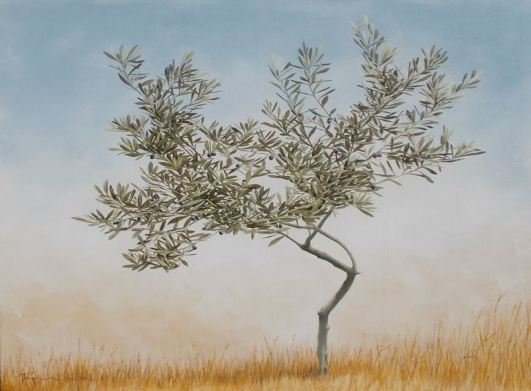 Olive oil tree